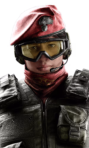 Alibi