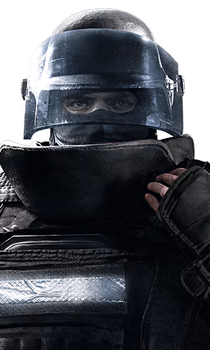 Rook